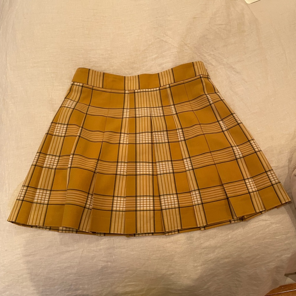 Aritzia Pleated skirt